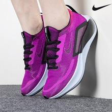 �Ϳ˹پWCT2401-501