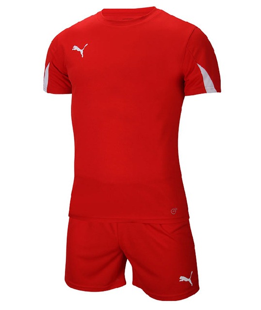 ���� 70310501